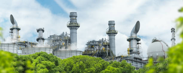 The Green Transformation